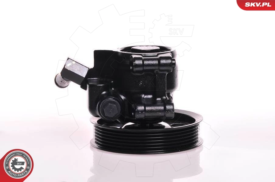Hydraulic Pump, steering 10SKV019