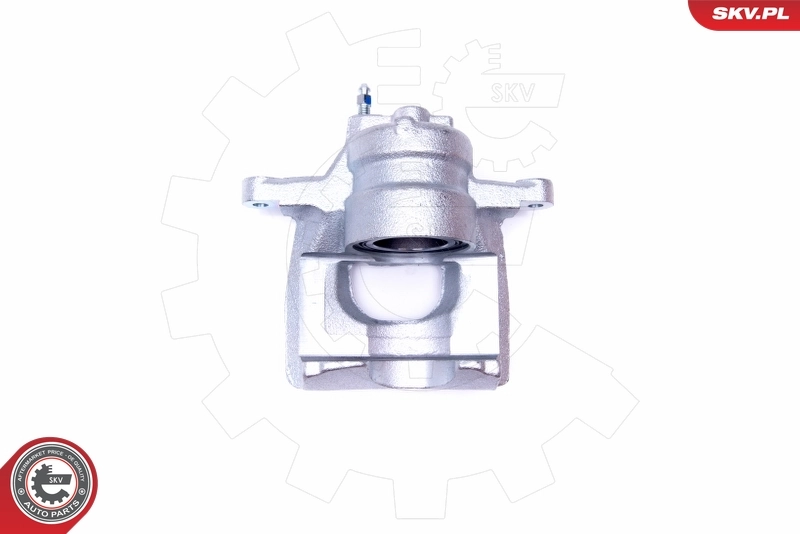 Brake Caliper 44SKV001