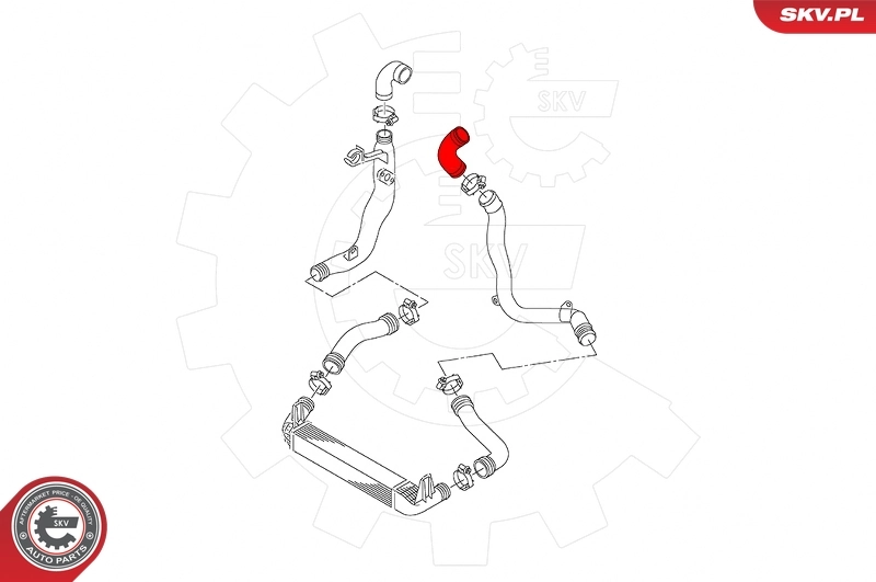 Charge Air Hose 43SKV395
