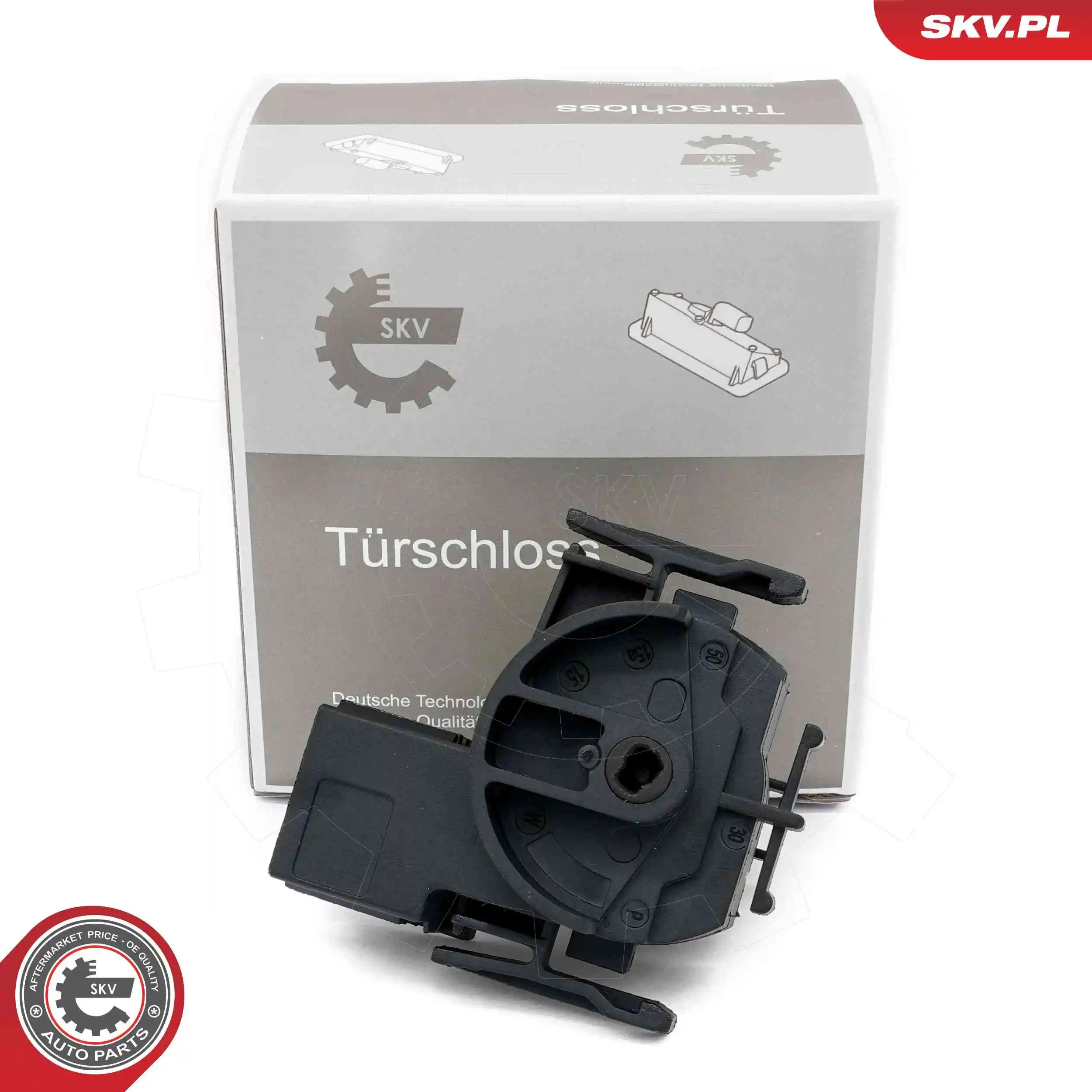 Ignition Switch 65SKV029