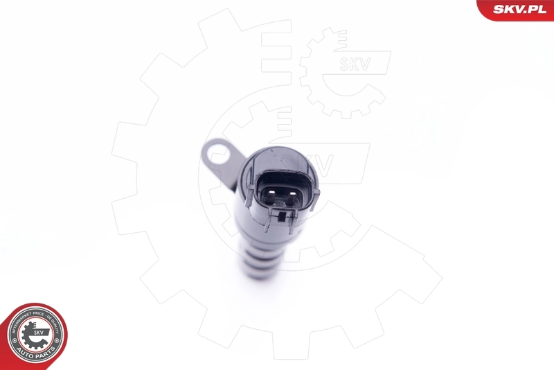 Control Valve, camshaft adjustment 39SKV018