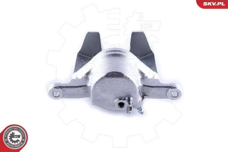 Brake Caliper 55SKV241