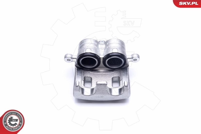 Brake Caliper 42SKV442