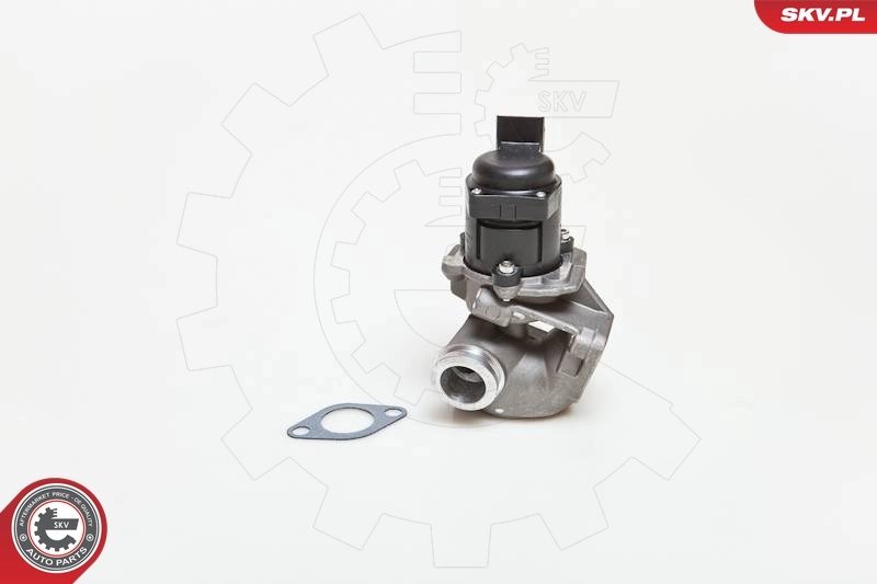 EGR Valve 14SKV028