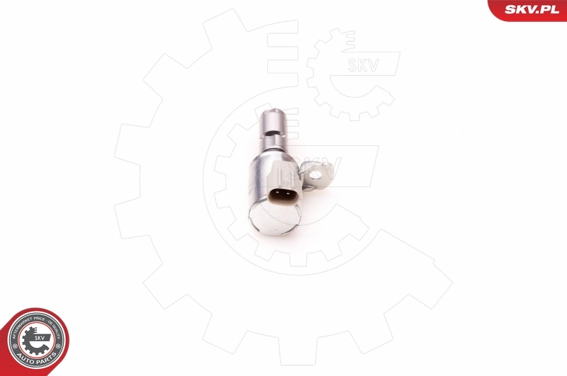 Control Valve, camshaft adjustment 39SKV005