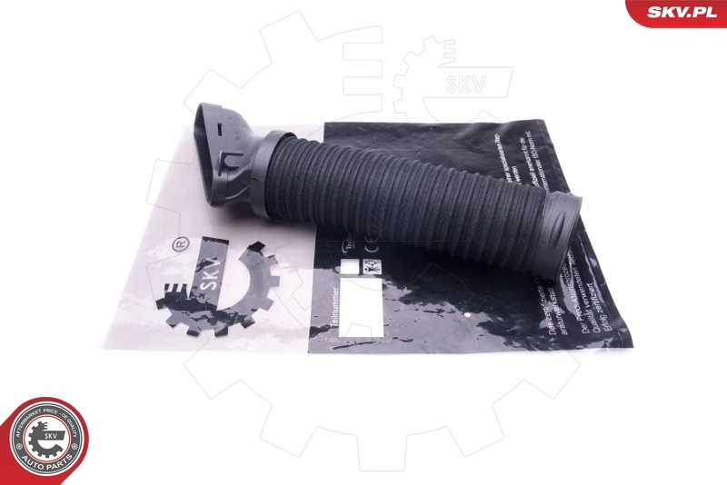 Intake Hose, air filter 43SKV904