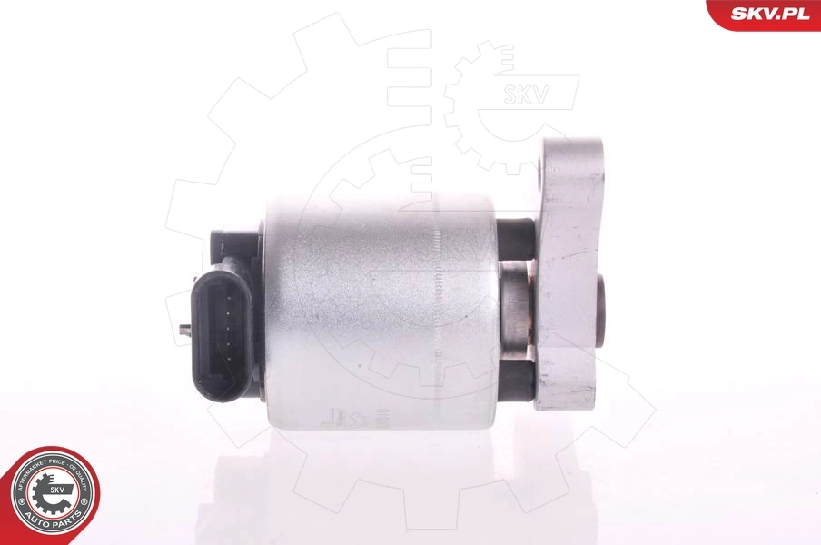 EGR Valve 14SKV004