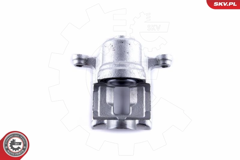 Brake Caliper 55SKV024