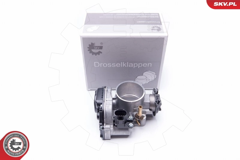 Throttle Body 12SKV035