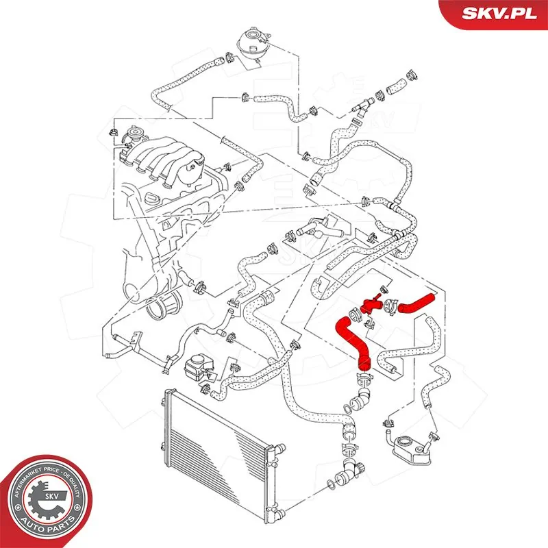 Radiator Hose 43SKV616