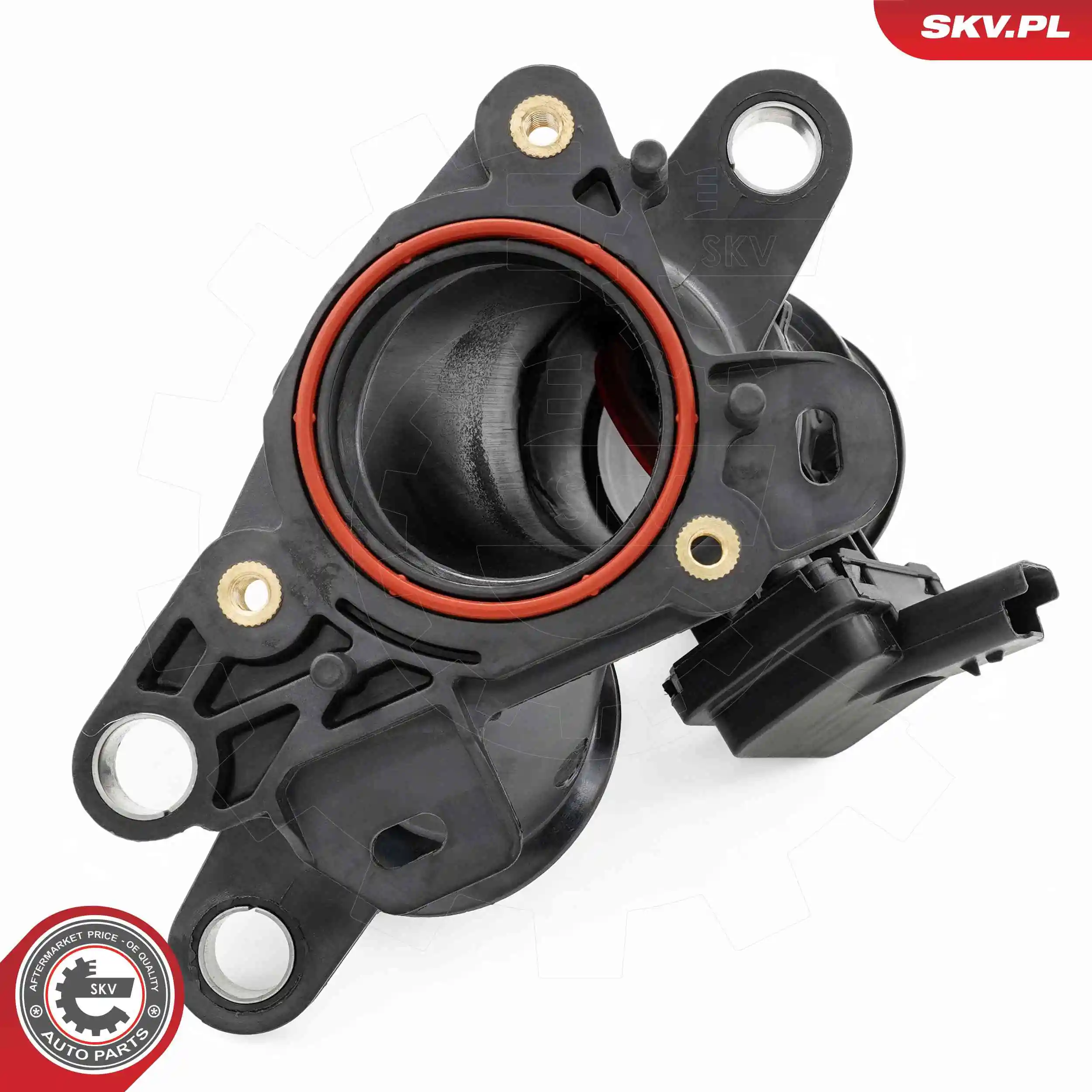 ESEN SKV 12SKV149 Throttle Body