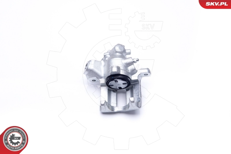 Brake Caliper 34SKV888
