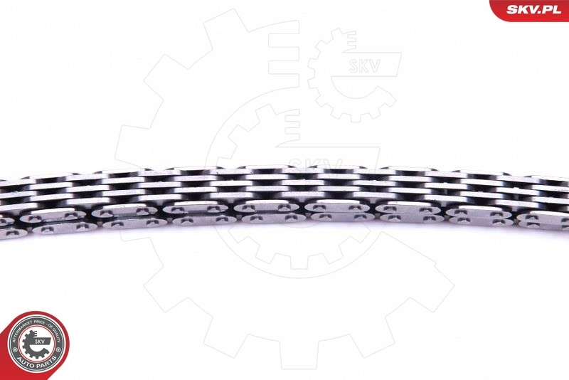 Chain Kit, oil pump drive 21SKV109