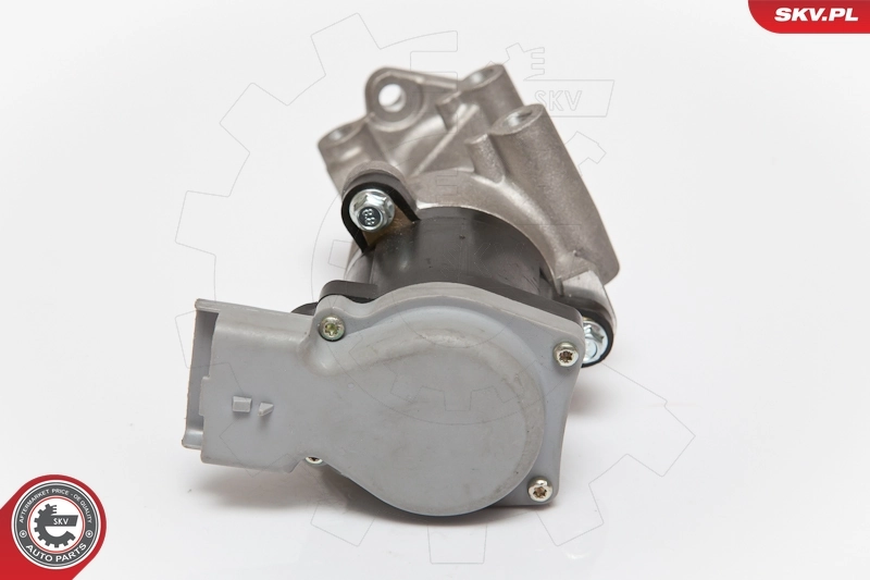 EGRバルブ 14SKV066