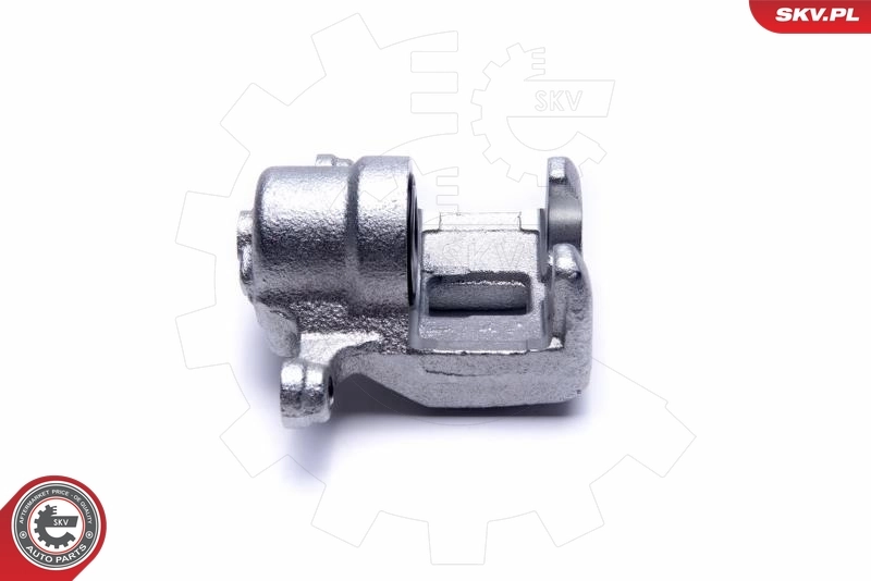 ESEN SKV 55SKV484 Brake Caliper