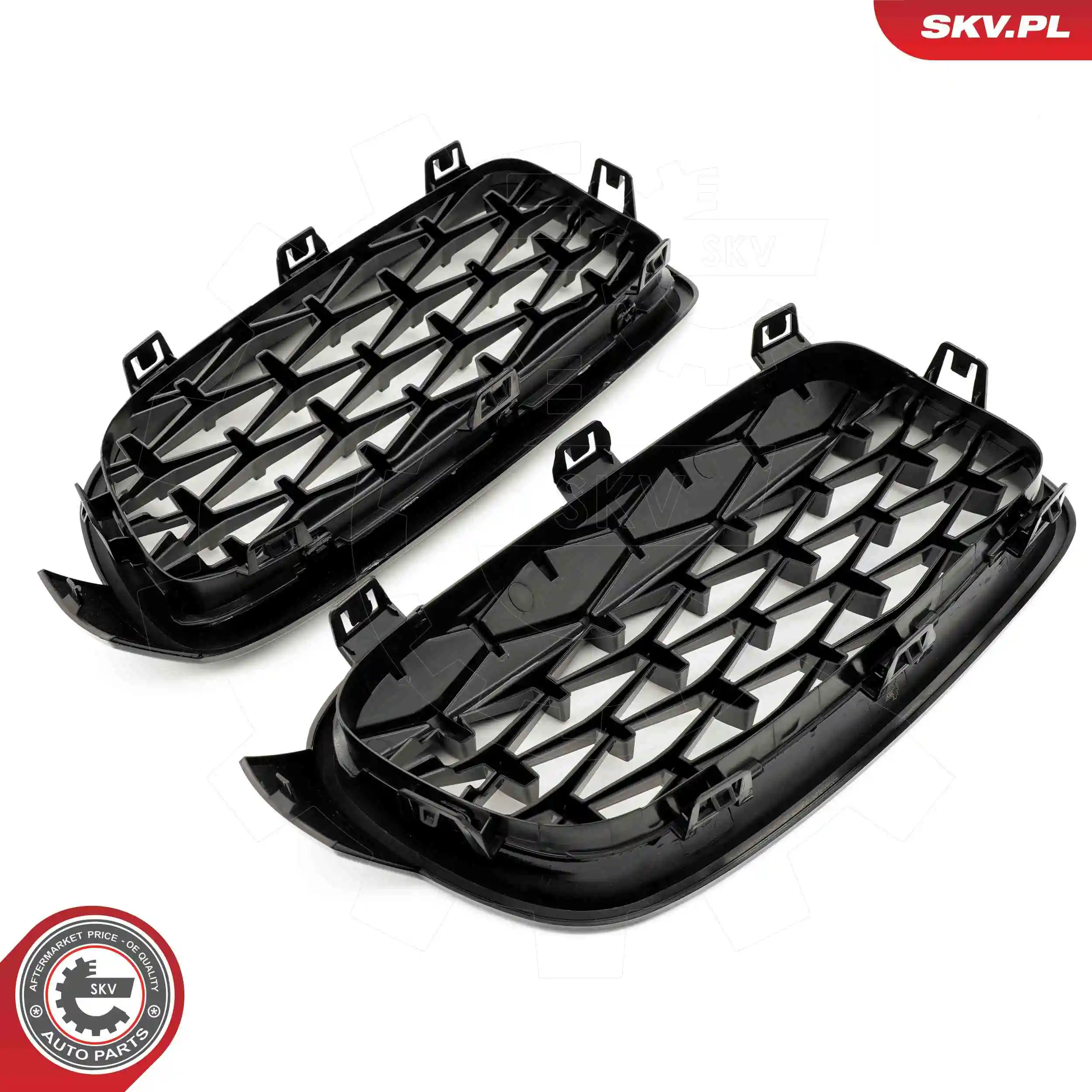 Radiator Grille 66SKV129