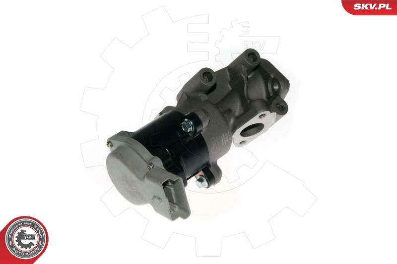 EGR Valve 14SKV089