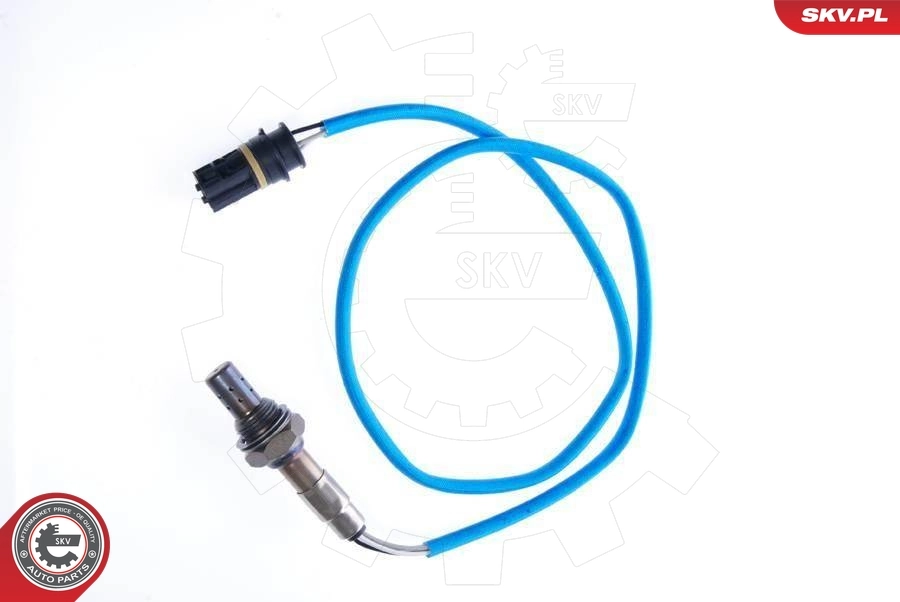 Oxygen Sensor 09SKV031