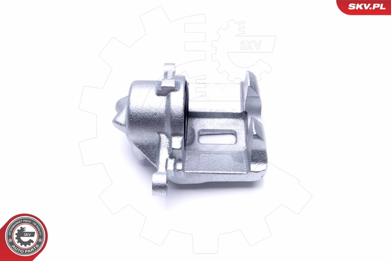 Brake Caliper 46SKV061