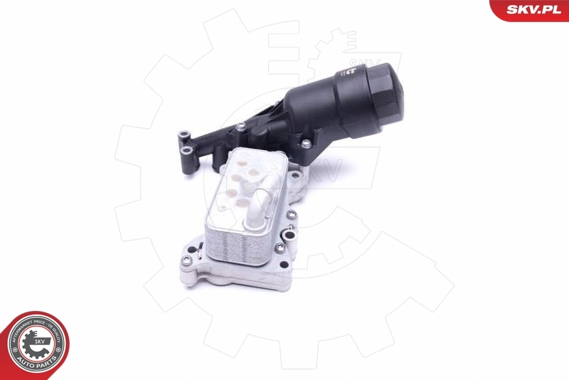 Oil Cooler, engine oil 31SKV171