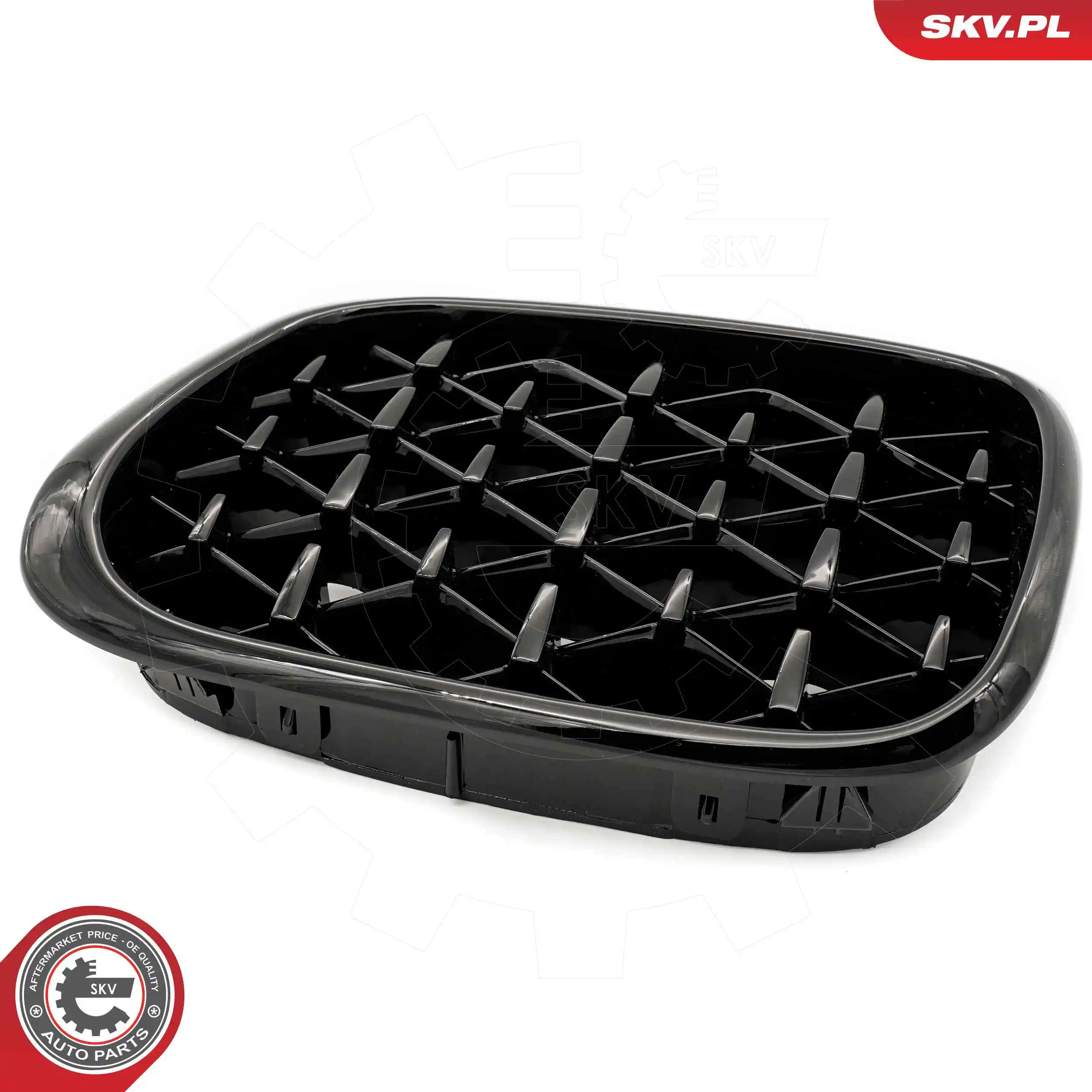 Radiator Grille 66SKV164