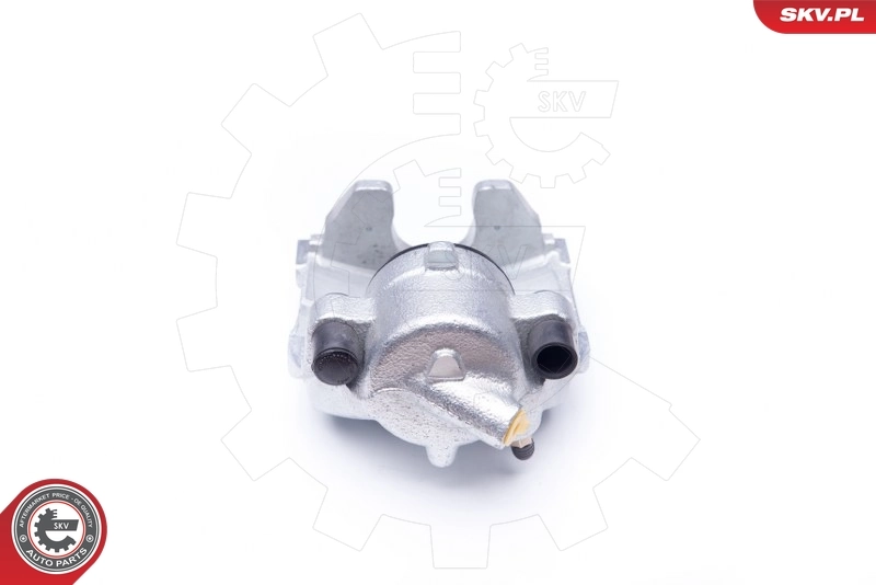Brake Caliper 42SKV021