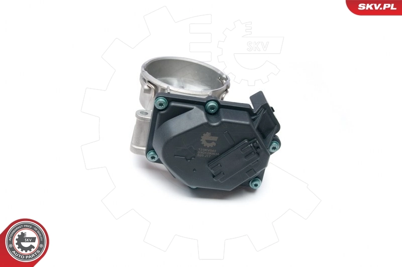 Throttle Body 12SKV044