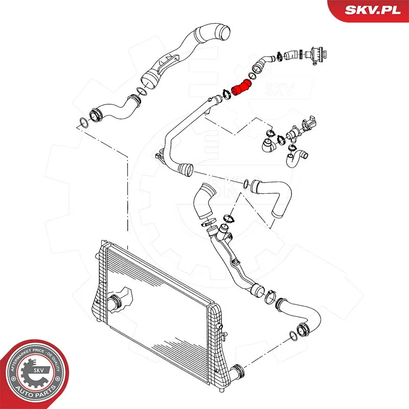 Charge Air Hose 43SKV483
