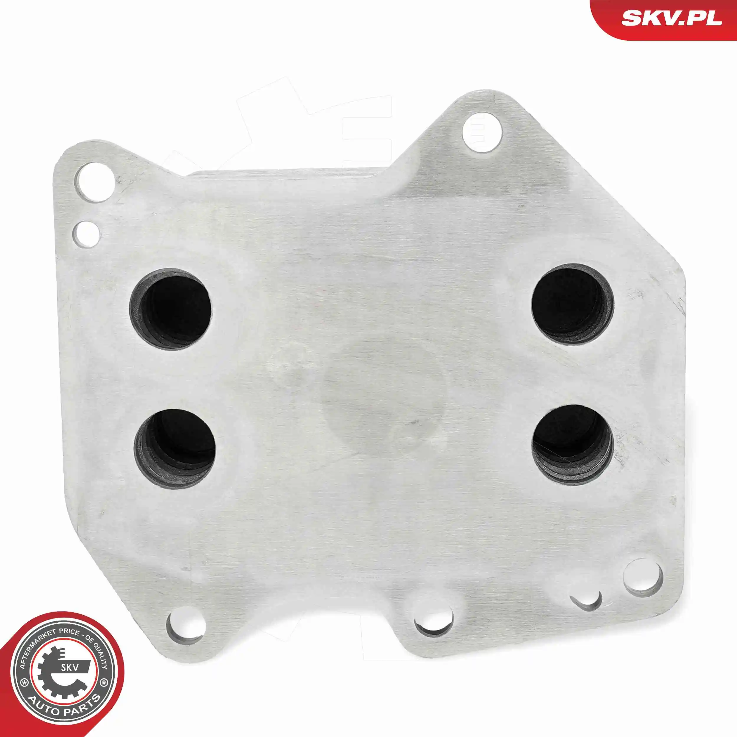 Oil Cooler, engine oil 31SKV320