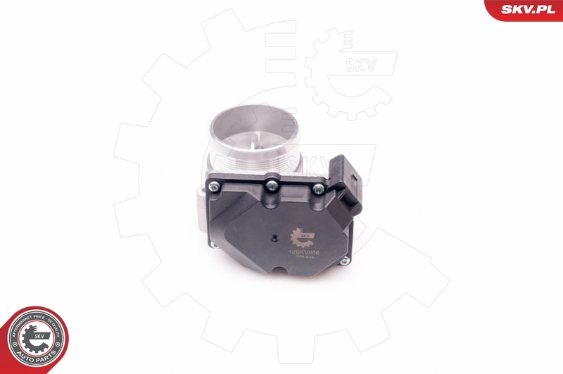 Throttle Body 12SKV058