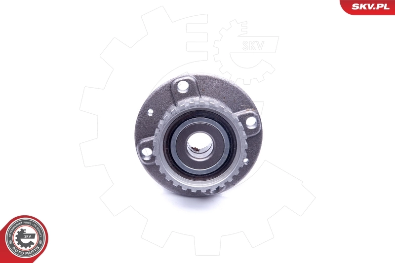 Wheel Bearing Kit 29SKV207