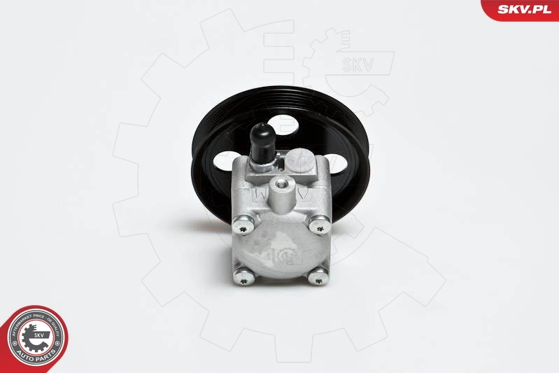 Hydraulic Pump, steering 10SKV176