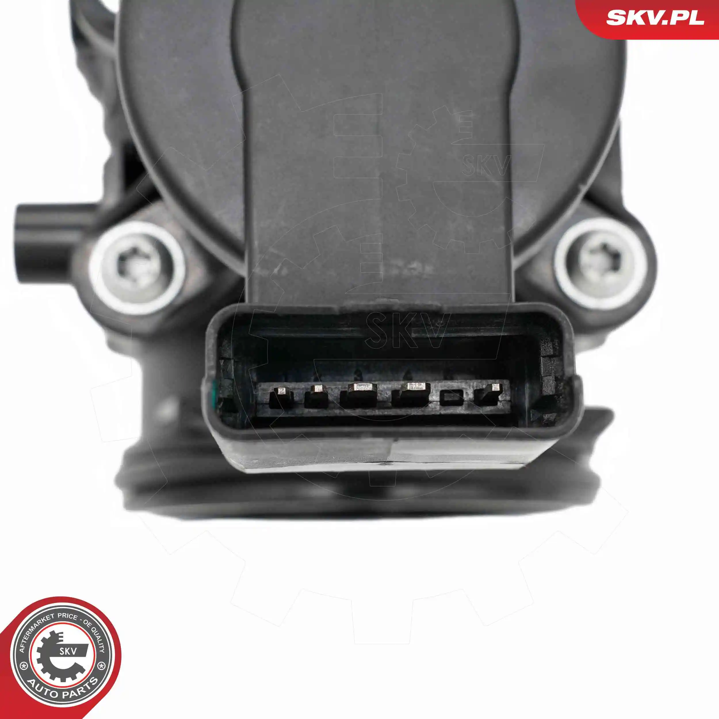 ESEN SKV 12SKV150 Throttle Body