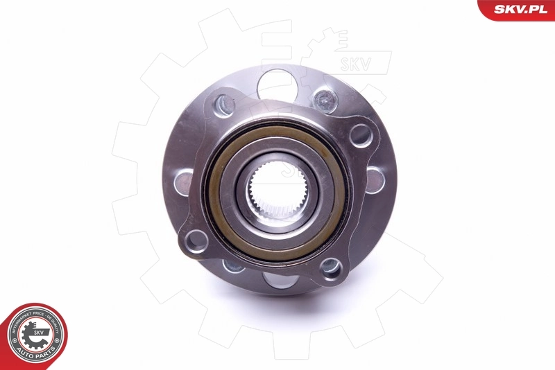 ESEN SKV 29SKV319 Wheel Bearing Kit