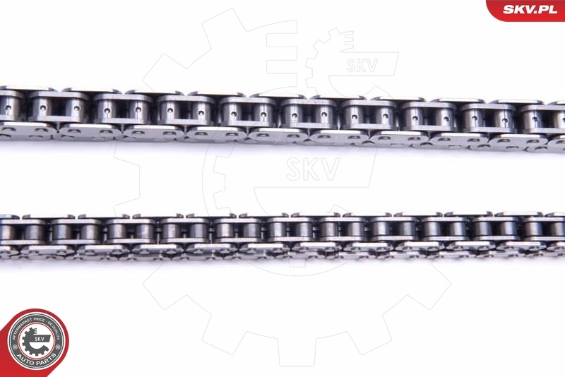 Timing Chain Kit 21SKV176