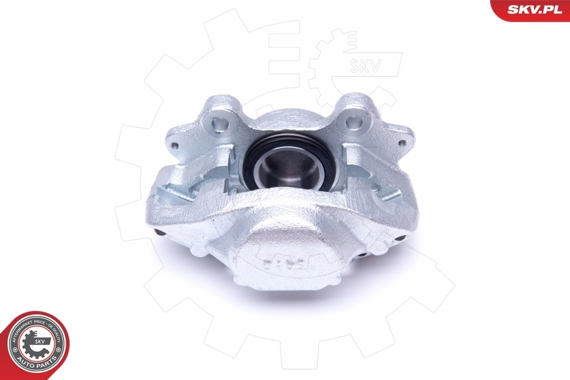 Brake Caliper 45SKV922