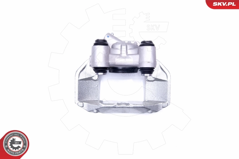 Brake Caliper 42SKV111
