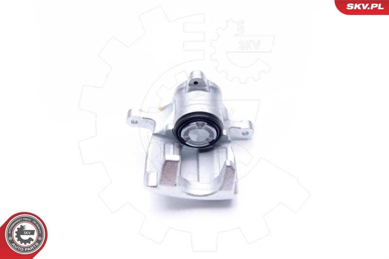 Brake Caliper 34SKV783