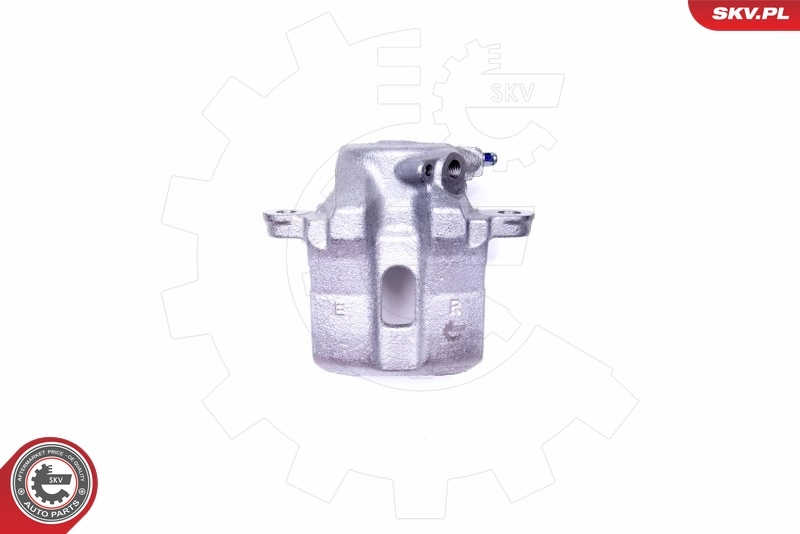 Brake Caliper 42SKV142