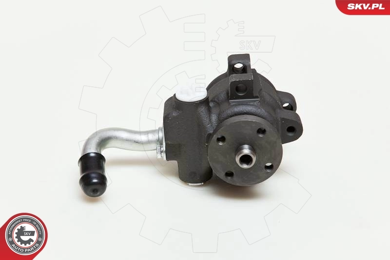 Hydraulic Pump, steering 10SKV036