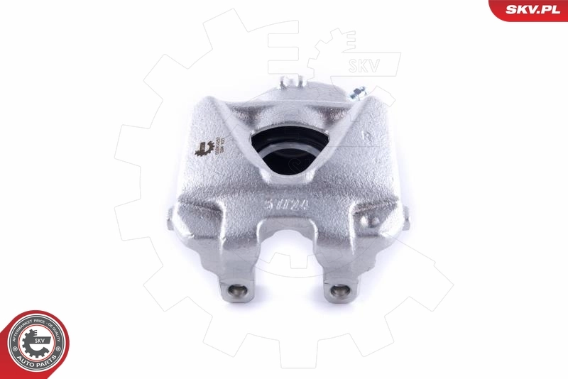 Brake Caliper 55SKV252