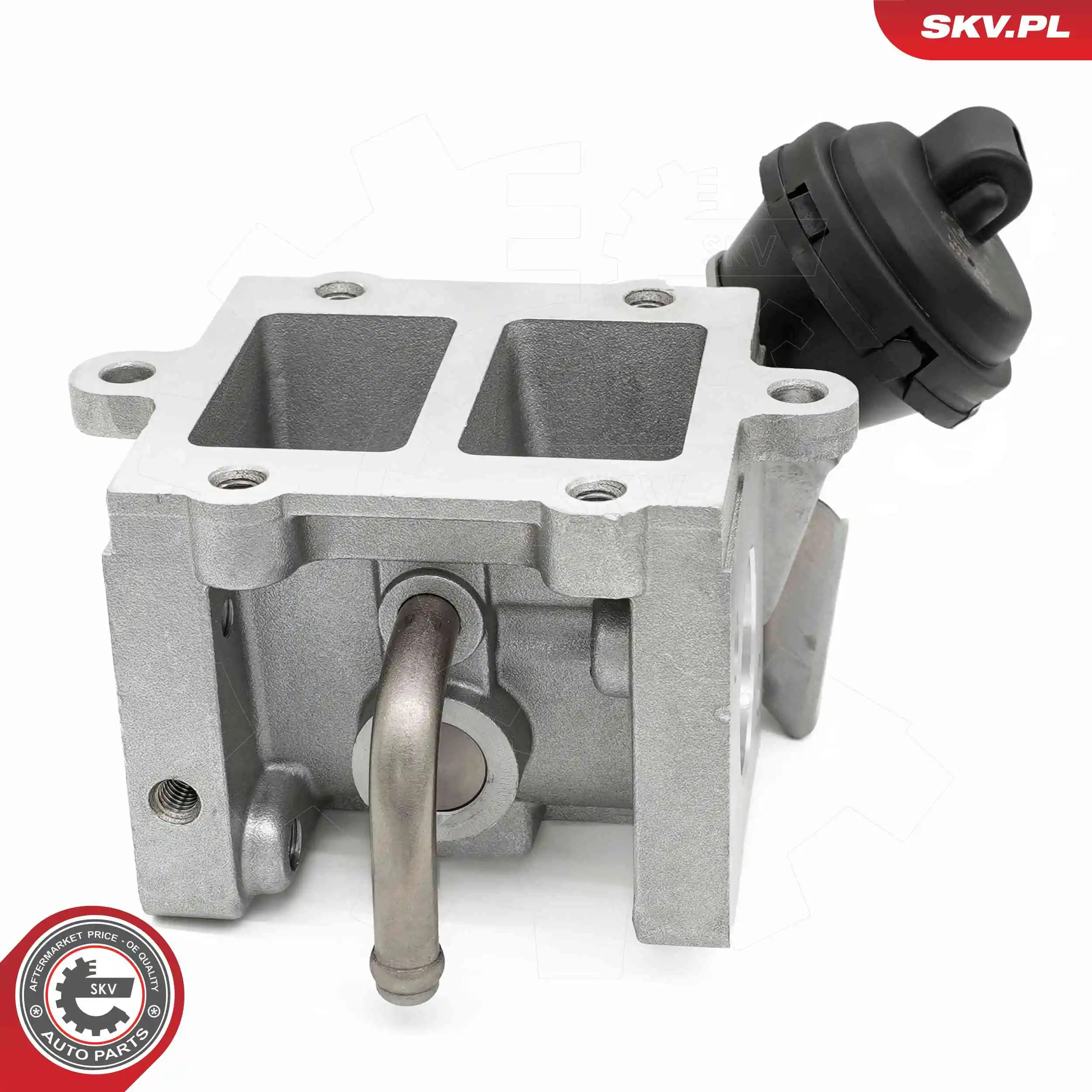 ESEN SKV 14SKV290 EGR Valve