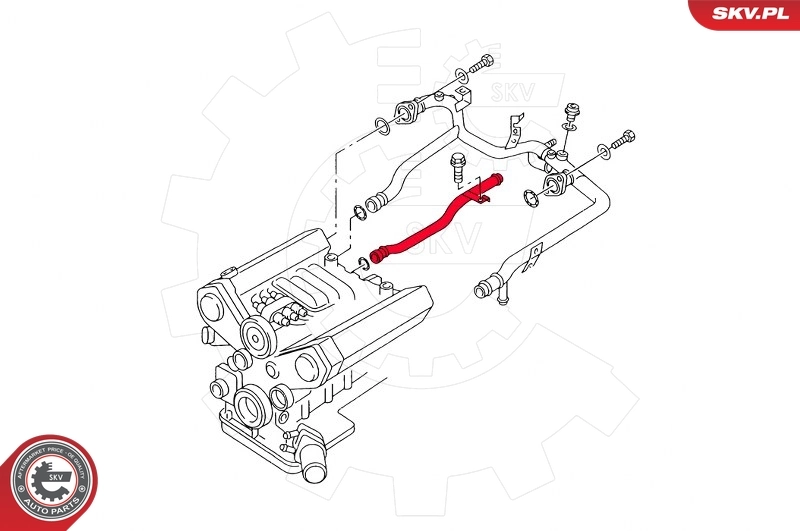 Coolant Pipe 43SKV779