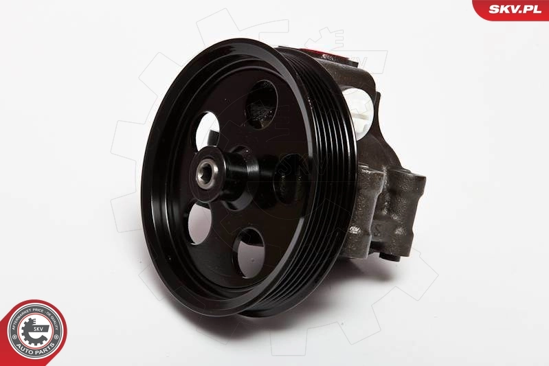 Hydraulic Pump, steering 10SKV067