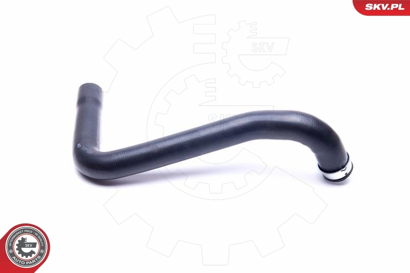 Radiator Hose 43SKV894