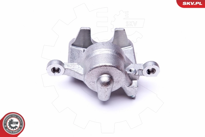 Brake Caliper 45SKV692