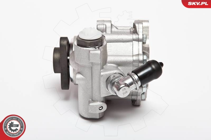 Hydraulic Pump, steering 10SKV015