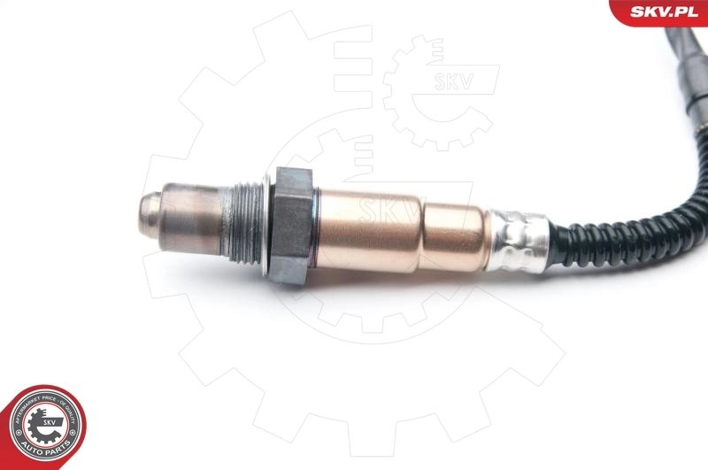 Oxygen Sensor 09SKV850