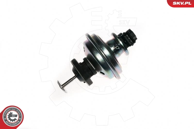 EGR Valve 14SKV078