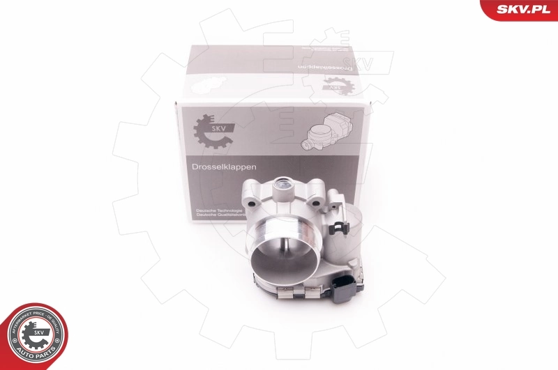 Throttle Body 12SKV054